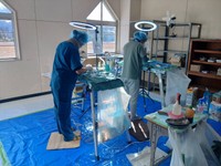 避妊・去勢手術を行った（にゃんともさん提供）