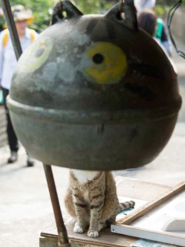 見事にハマっています（撮影・沖昌之／白夜書房提供）