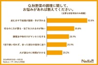 秋野菜の調理に関する悩み（提供画像）