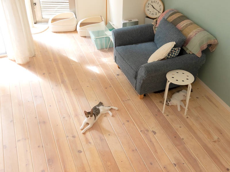 今日も平和な一日だ