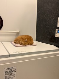 ほぼ毎日通っています