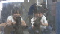 市場水族館の様子