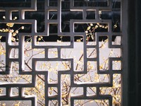 自信を失った中国留学での経験を、時を経てNYで活かす今