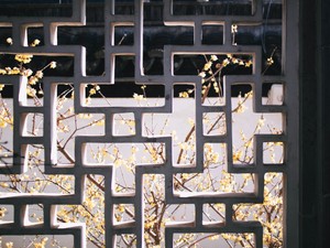 自信を失った中国留学での経験を、時を経てNYで活かす今