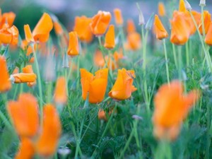 整形は私だけの秘密。でも、昔のヒドい言葉までは絶対に消せない