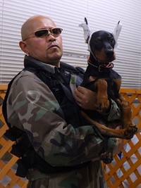 断耳直後の子犬期に保護されたドーベルマンのこたろうくん。※現在、日本では2025年1月1日以降に生まれたドーベルマンの「断尾・断耳」は不可（画像提供：一般社団法人「ワニガメ生態研究所」）