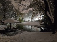 ベルヴェデーレ宮殿の裏の公園を雪の日に歩いていたばよりんさん、石川県の兼六園を思い出したそう（提供：ばよりんさん）