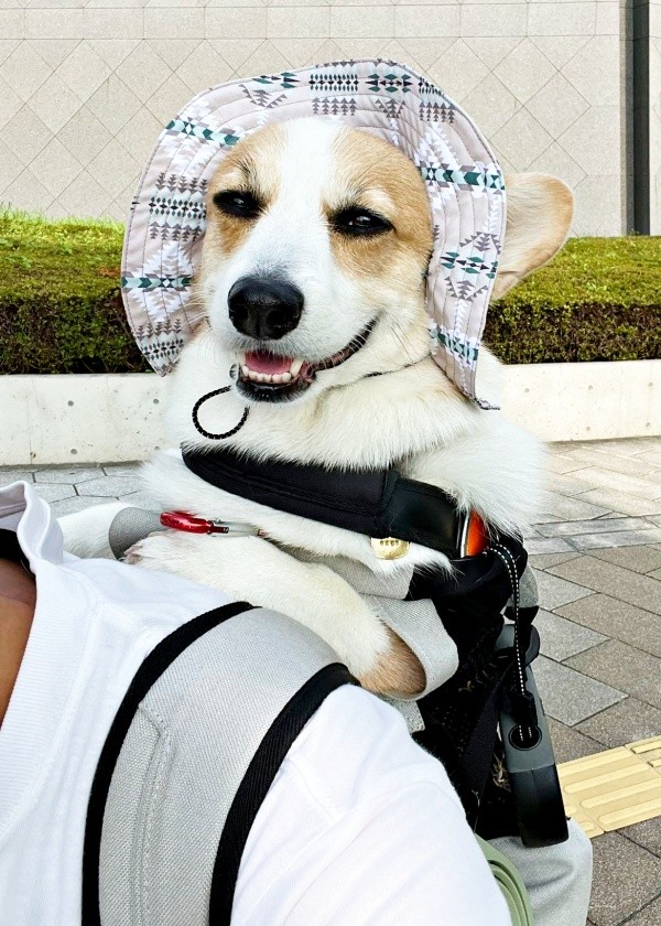 リュックに入ってお出かけ。うれしそうな閣下くん（画像提供：閣下と下僕さん）