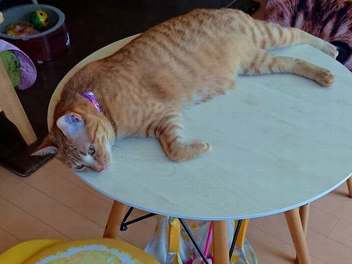 わざわざそこで寝なくても