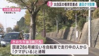 仙台・太白区の根岸町や向山でクマの目撃が相次ぐ　大崎市がクマ非常事態宣言
