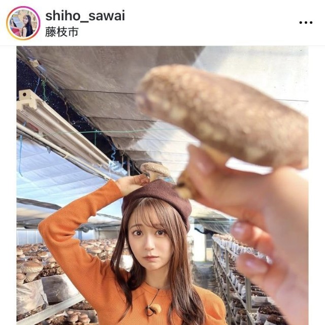 澤井志帆アナウンサーのインスタグラム＠shiho_sawaiより