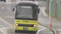 資料：FLAt