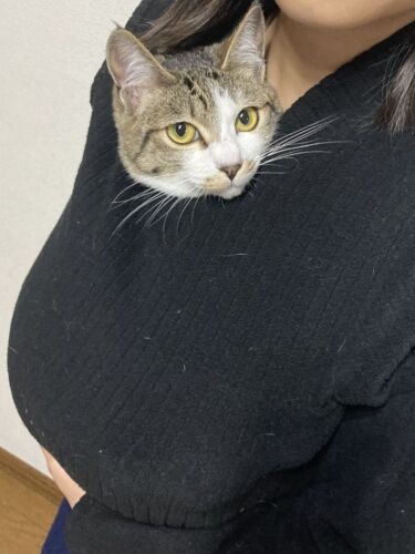 お姉ちゃんの服の中（吉留さん提供）