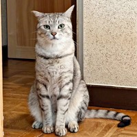 13歳を迎えたしじみくん（画像提供：しじみとんさん）