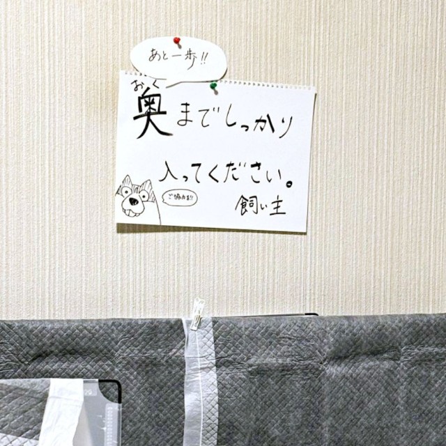 福丸くんのために、飼い主さんが壁に貼った「奥までしっかり入ってください」ポスター（画像提供：ふくまる＋ぶな＝さん）