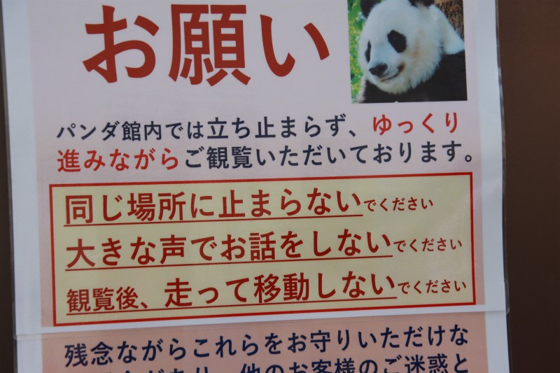 パンダ　他の方はご遠慮ください 闘病中のパンダのための「立ち止まらずに見て」→ルール無視が横行
