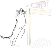 キュルガちゃんは、何を確認しているのかな？（提供：キュルZさん）