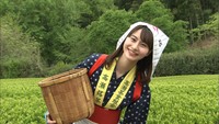 新茶の季節到来！「茶摘み娘」姿で新茶の初摘みを体験　香川・三豊市