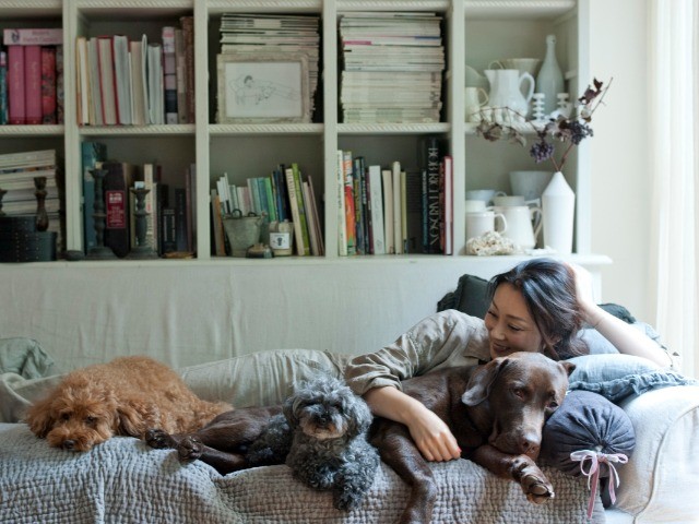 初めまして、わが家の3匹 犬は愛をくれる永遠の「相棒」 | 「犬や猫と