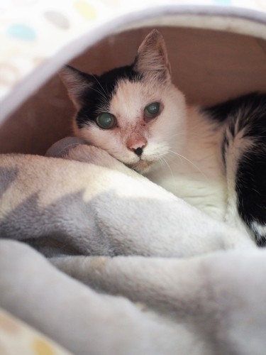 「相棒もできたし、もうちょっと長生きするかな」