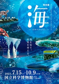 特別展「海　ー生命のみなもとー」