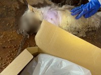 何百という命がここで失われた