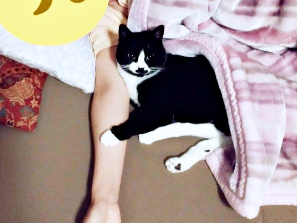 ママの腕枕で眠るまめちゃん（画像提供：まめさん）