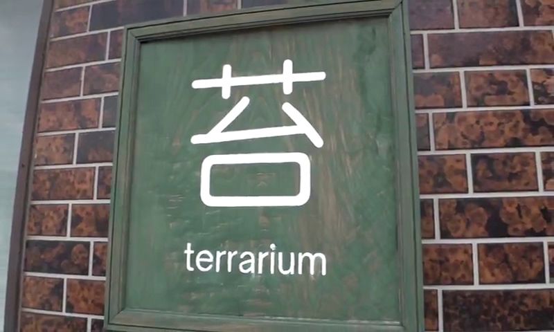 ジブリの世界観を持つ苔テラリウムショップがオープン