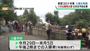 仙台・八木山動物公園ゴールデンウイークに入園制限　事前予約が必要