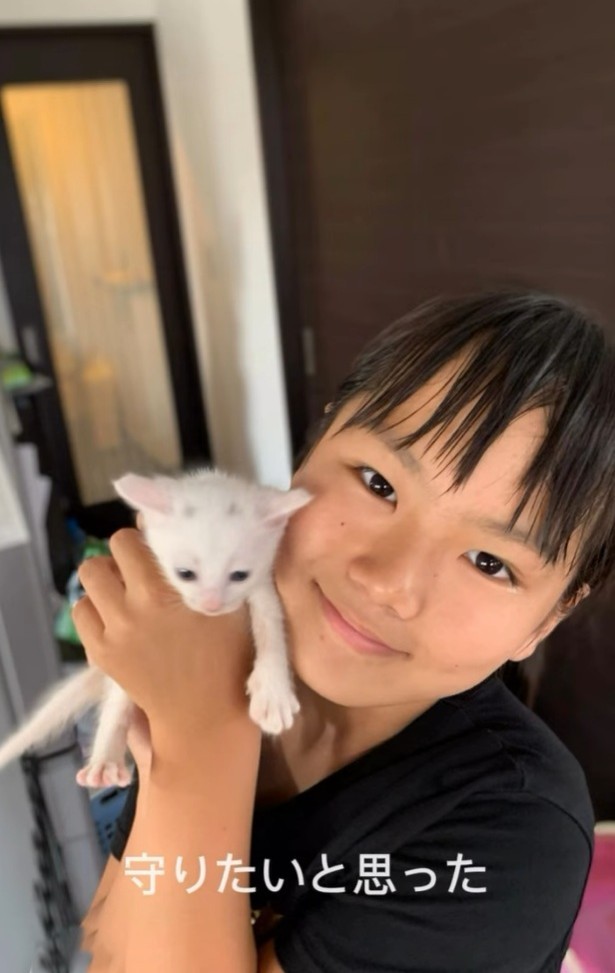 小学生のころから始めた保護活動（「NPO法人子猫園ベルソーデシャトンズ」さん提供、Instagramよりキャプチャ撮影）
