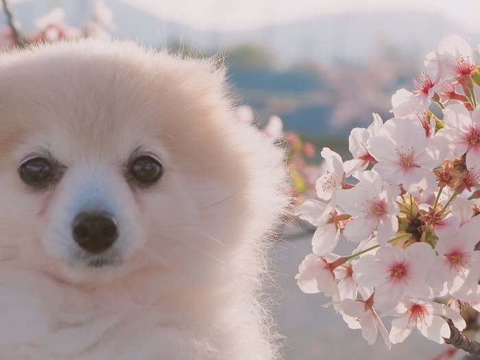 「家族の中心的存在で、夫や息子も可愛がっています」とHISAYANさん（HISAYANさん提供）