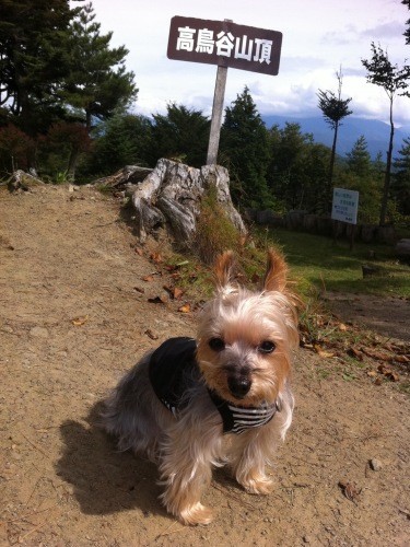 長野県の高鳥谷山（たかずやさん）にて（高藤さん提供）
