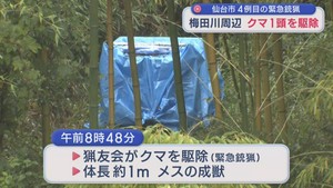 仙台市宮城野区の梅田川周辺でクマ１頭を捕獲　仙台市４例目の緊急銃猟で駆除　頻繁に目撃された個体と同一か　