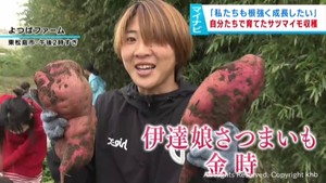 マイナビ仙台レディース　育てたサツマイモを収穫「私たちも根強く成長」