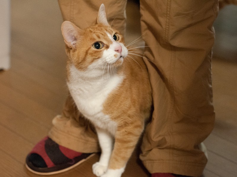 「おばちゃん左手に持ってるのなに？あんぱん？」（小林写函撮影）