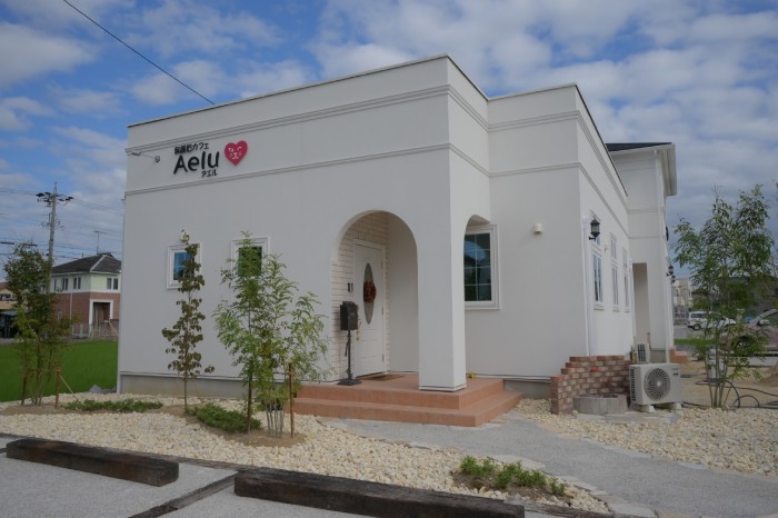 保護猫カフェAelu