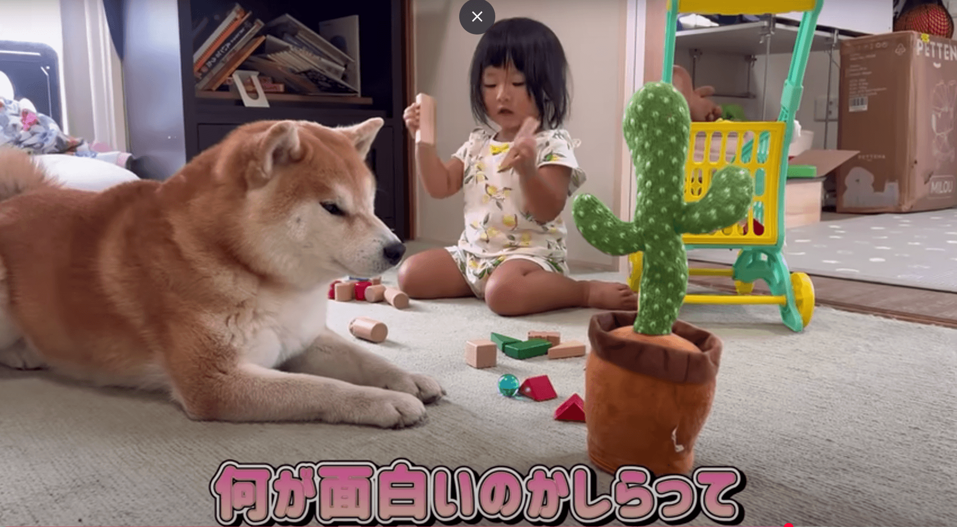 カオスな状況の傍ら、妹さんは遊びに集中