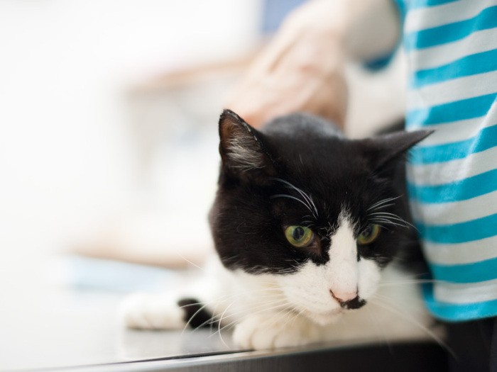 「病院はあんまり好きじゃないから、早く帰りたいな」（小林写函撮影）