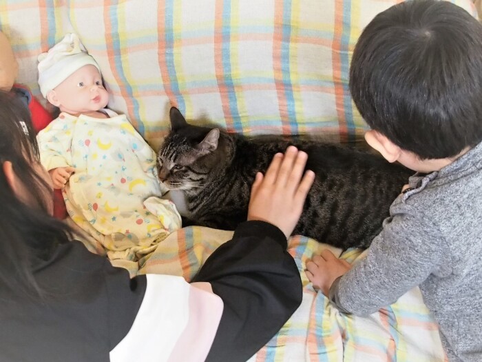 「可愛いね、触ると気持ちがいいね」と男の子