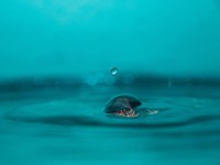 「会えない」と「いない」の境界はどこ？2年前に旅立った祖父を想う