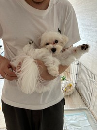 抱っこされて変なポーズを見せてくれるほたてくん（提供：ほたてさん）