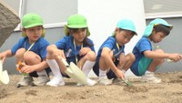 幼稚園児がヒマワリの種を植え交通安全願う　事故死の4歳児が遺した種が全国に　香川・丸亀市