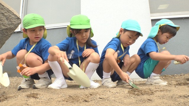 幼稚園児がヒマワリの種を植え交通安全願う　事故死の4歳児が遺した種が全国に　香川・丸亀市