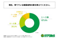 育てている観葉植物の数