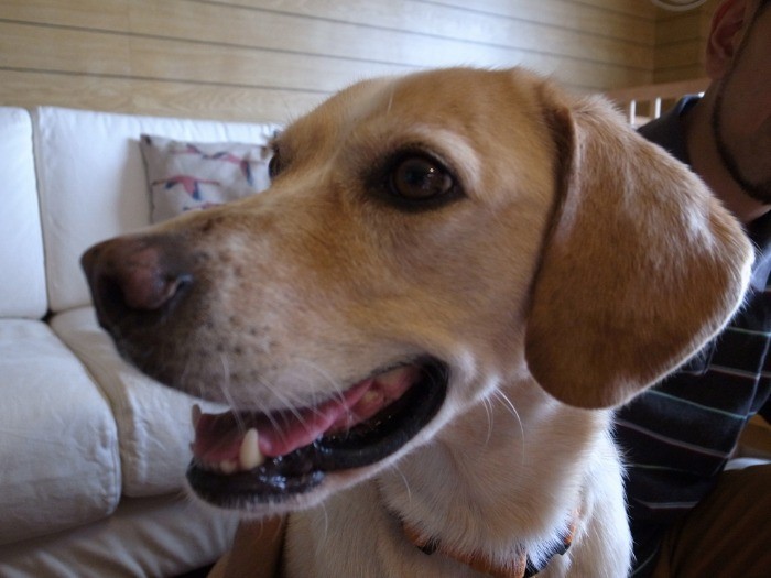 可愛い笑顔が素敵！