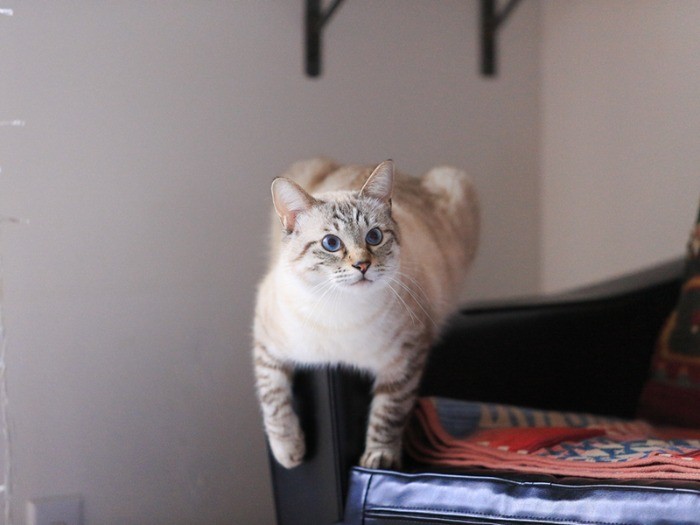 少し、落ち着いたかな？