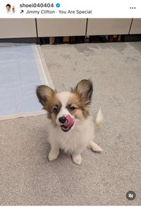 照英インスタグラム＠shoei040404より