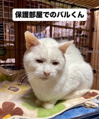 投稿よりスクリーンショット