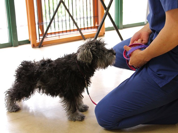 おやつはどこかな