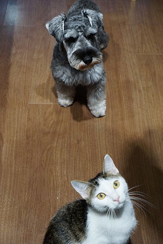 「僕ら、仲いいよ」